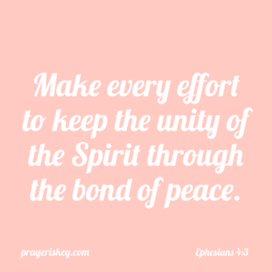 Ephesians 4:3
New International Version
3 Make every effort to keep the unity of the Spirit through the bond of peace.