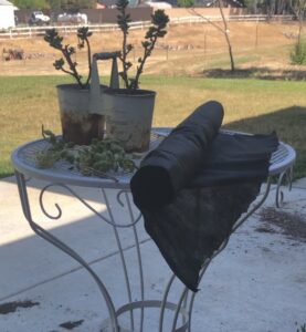 Succulent, potted plants, soil, garden gloves,