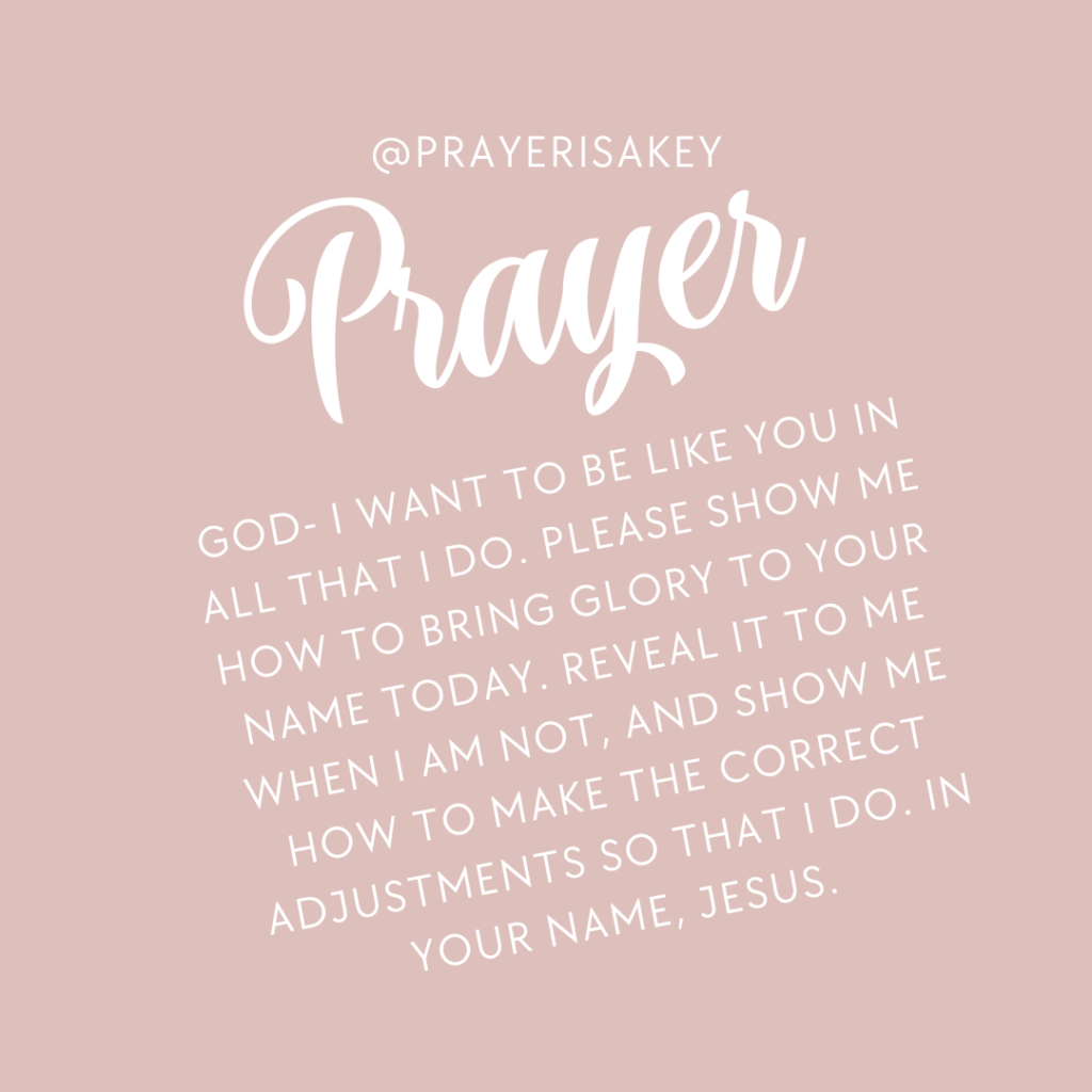 Shine Jesus Shine, Make God Shine Prayer in mauve pink
